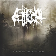 The Still Waters Of Oblivion mp3 Album by Aetherial