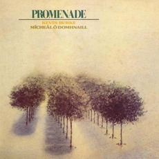 Promenade mp3 Album by Kevin Burke & Mícheál Ó Domhnaill