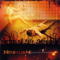 Process Of Life Separation mp3 Album by Ninnuam