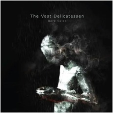 Dark Skies mp3 Album by The Vast Delicatessen
