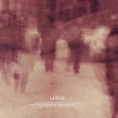 If We Get There One Day, Would You Please Open the Gates? mp3 Album by Leech