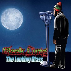 The Looking Glass mp3 Album by Blaak Lung