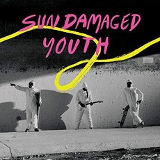 Sun Damaged Youth mp3 Album by The Donkeys