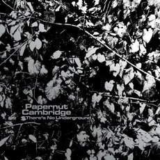 There's No Underground mp3 Album by Papernut Cambridge