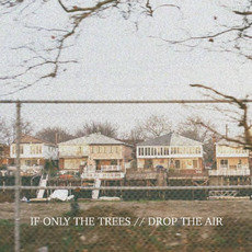 Drop the Air mp3 Album by If Only the Trees