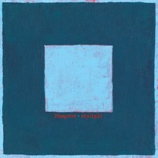 Skylight mp3 Album by Pinegrove