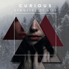 Symmetry of Life mp3 Album by Curious