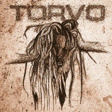 Into the Pressure mp3 Album by Torvo