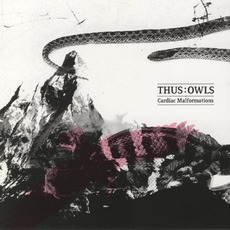 Cardiac Malformations mp3 Album by Thus:Owls