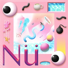 Chinese Nü Yr mp3 Album by Iglooghost