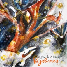 Vagalumes mp3 Album by Sangre De Muerdago