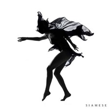 Siamese mp3 Album by Siamese