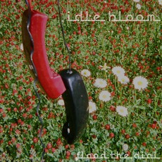 Flood The Dial mp3 Album by Idle Bloom