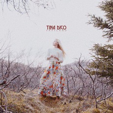 Fastland mp3 Album by Tina Dico
