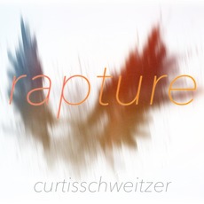 Rapture mp3 Album by Curtis Schweitzer