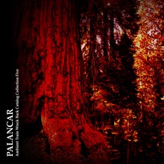 Ambient Train Wreck Back Catalog: Collection Five mp3 Album by Palancar