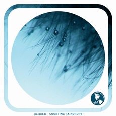 Counting Raindrops mp3 Album by Palancar