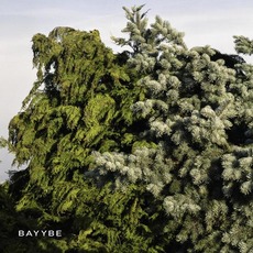Bayybe mp3 Album by Bilo 503