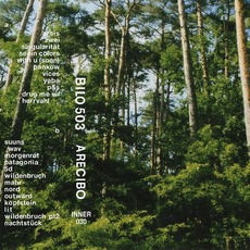 Arecibo mp3 Album by Bilo 503