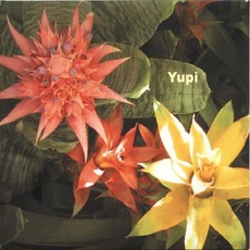 Yupi mp3 Album by Kazumasa Hashimoto
