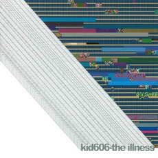 The Illness mp3 Album by Kid606