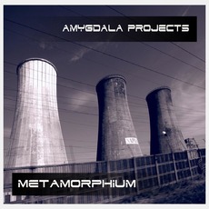 Metamorphium mp3 Album by Amygdala Projects