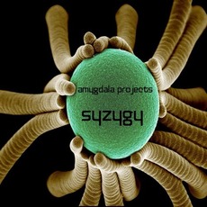 Syzygy mp3 Album by Amygdala Projects