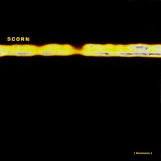 Anamnesis: Rarities 1994-1997 mp3 Artist Compilation by Scorn