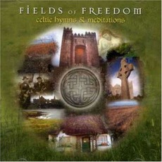Field of Freedom Celtic Hymns & Meditations mp3 Album by Ric Blair Band