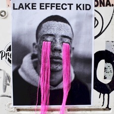 Lake Effect Kid mp3 Album by Fall Out Boy