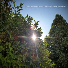 This Miracle Called Life mp3 Album by The Ambient Visitor