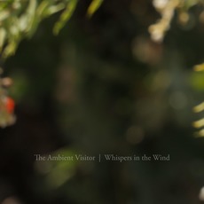 Whispers In The Wind mp3 Album by The Ambient Visitor