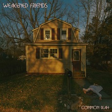 Common Blah mp3 Album by Weakened Friends