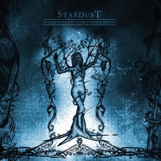 Fragmente eines gebrochenen Lebens mp3 Album by Stardust (2)