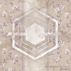 Somber mp3 Album by Tell the Wolves I'm Home