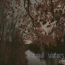 Tranquil Waters mp3 Album by Ziggy B. Freeman