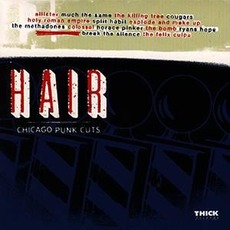Hair: Chicago Punk Cuts mp3 Compilation by Various Artists