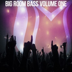 Big Room Bass, Volume One mp3 Compilation by Various Artists