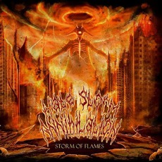 Storm Of Flames mp3 Album by Hate Storm Annihilation