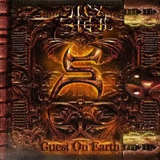 Guest on Earth mp3 Album by Icy Steel