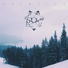 Volatile mp3 Album by 350teric