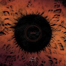 Iris mp3 Album by Owl Company