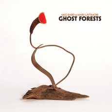 Ghost Forests mp3 Album by Meg Baird & Mary Lattimore