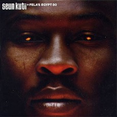 Many Things mp3 Album by Seun Kuti & Fela's Egypt 80