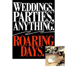 Roaring Days mp3 Album by Weddings Parties Anything