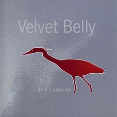 The Landing mp3 Album by Velvet Belly