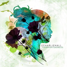 The Bright Sadness mp3 Album by Charlie Hall