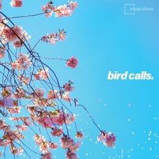 Bird Calls mp3 Album by Squareface