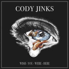 Wish You Were Here mp3 Single by Cody Jinks