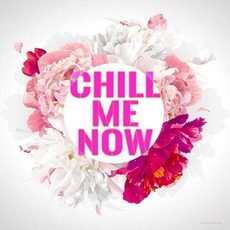Chill Me Now mp3 Compilation by Various Artists